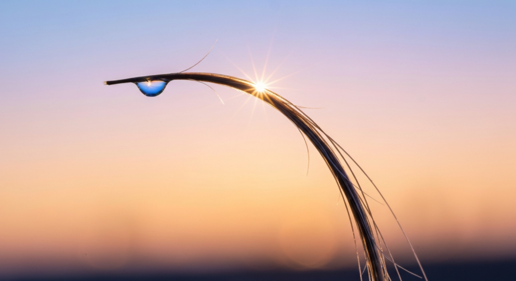 Baby hair jak ujarzmić? Triki i kosmetyki Clean Beauty.