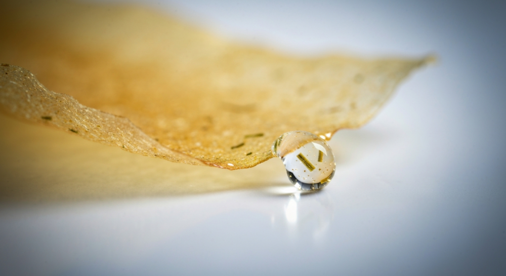 Peeling skóry głowy domowy: Przepisy DIY na blask!