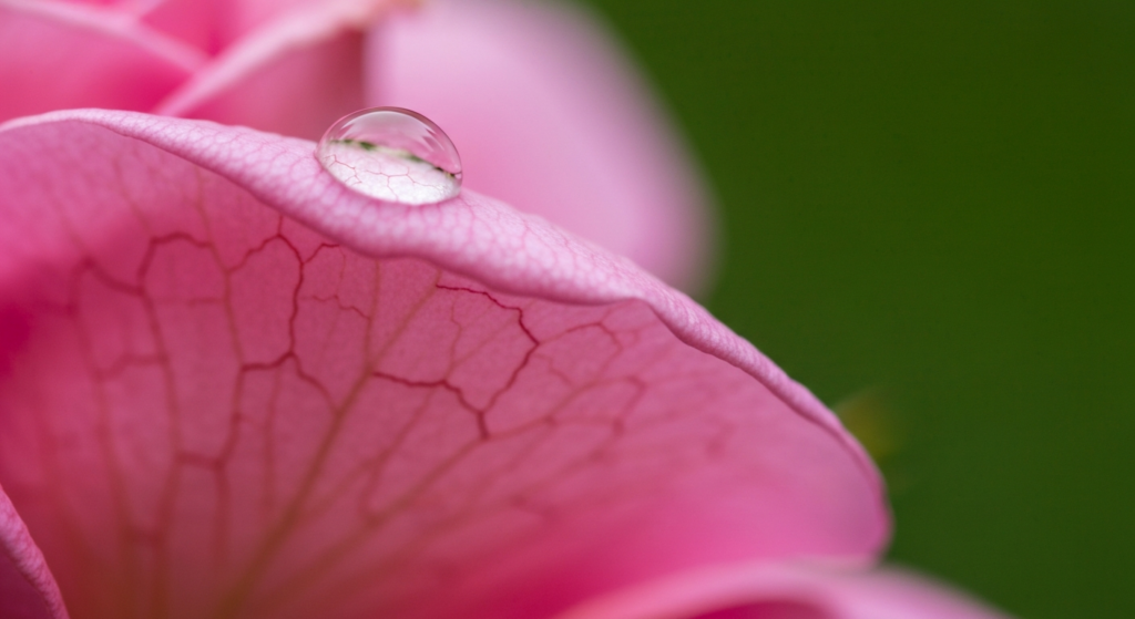 Spierzchnięte usta przyczyny i jak je wyleczyć naturalnie?